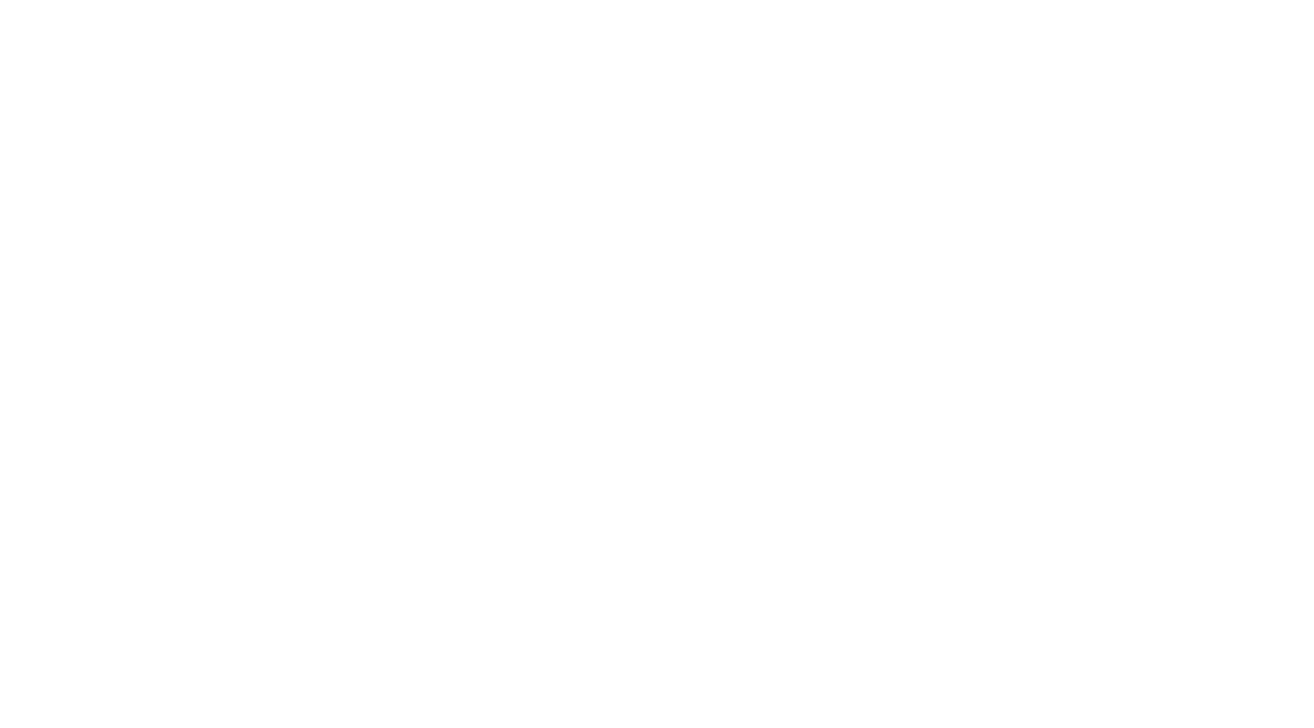 rolex logo white