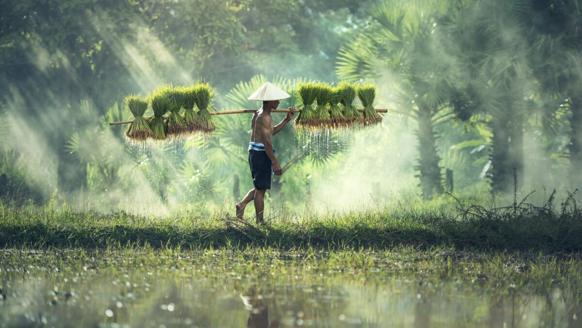 ca sƒ© v≈© tu·∫•n h√πng