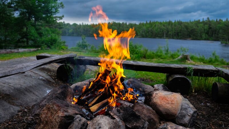 Wood Firelighters: The Easy Way to Start Your Fire Effortlessly