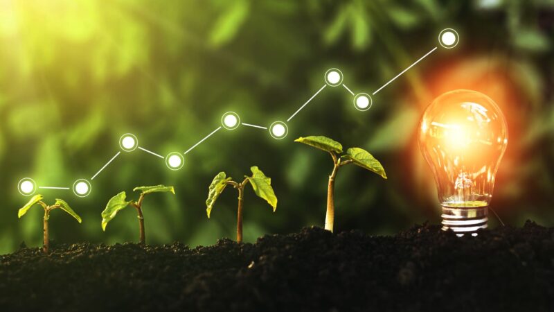 Sustainability Trends: Shaping a Greener Future