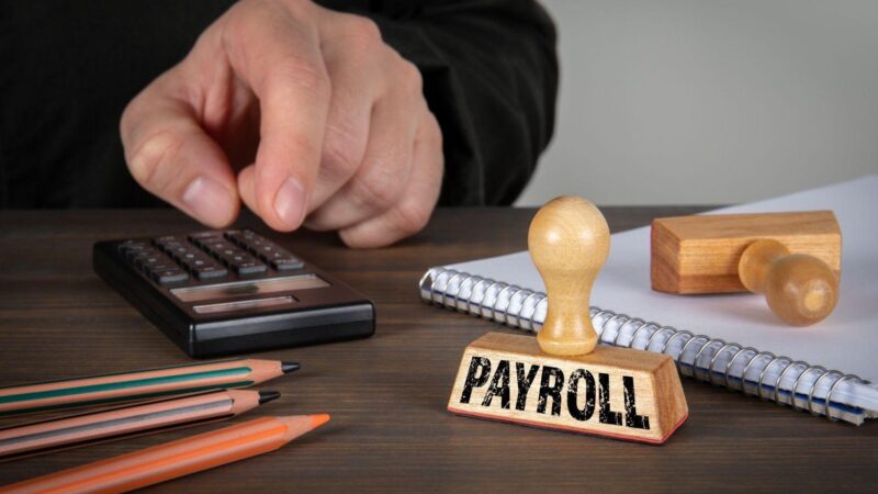 Why Startups Should Care About Professionally Designed Payslips and Payroll
Documents