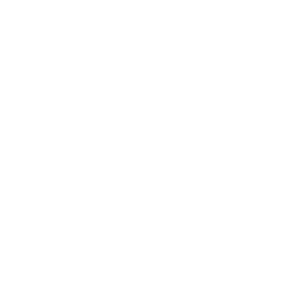 Twitter Logo PNG White