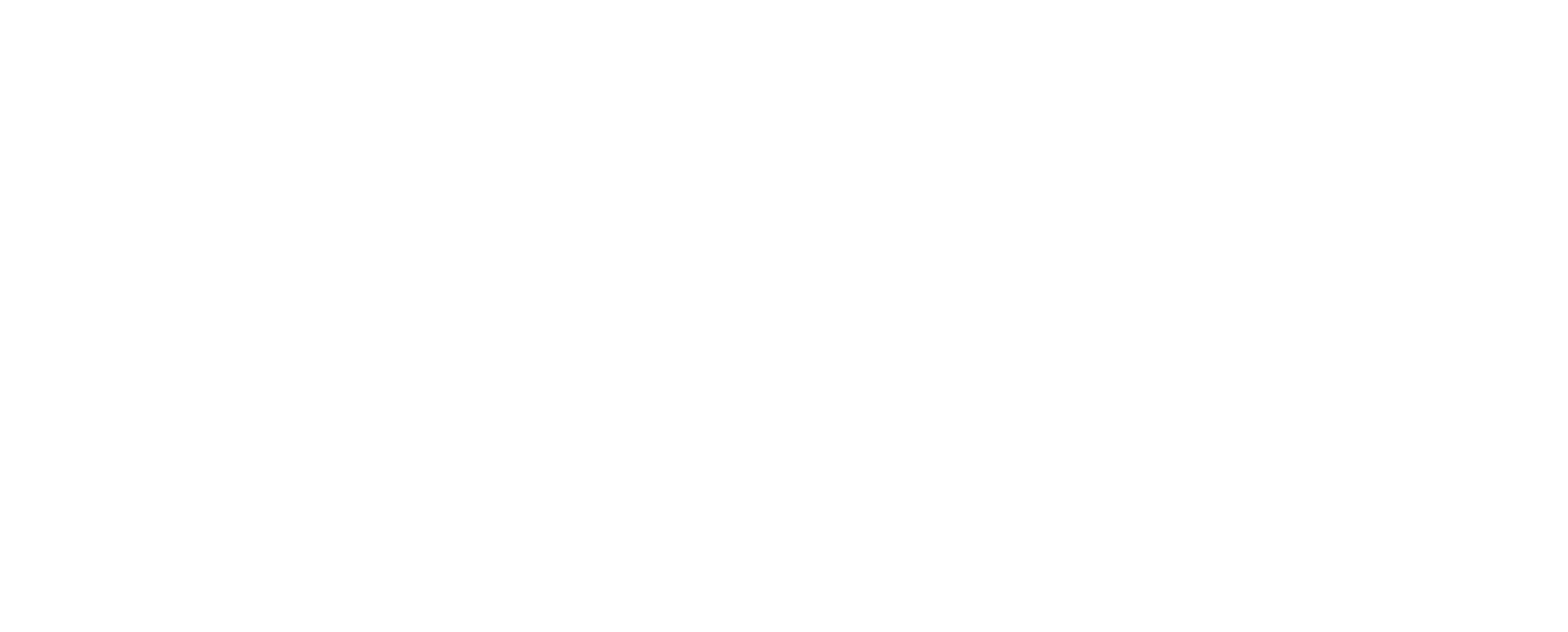 eBay Logo White