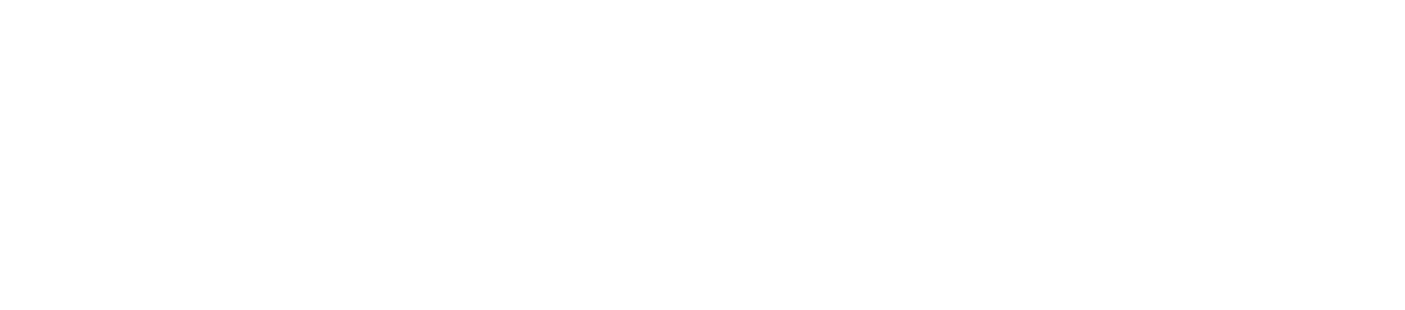 cash app logo White