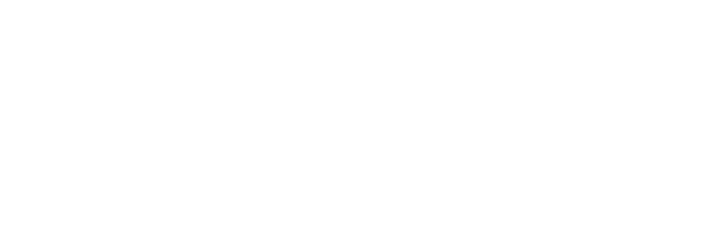 brac logo white