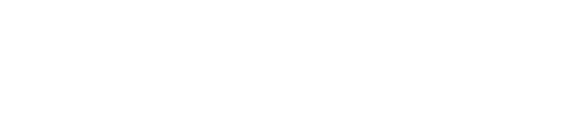 Discovery Logo White