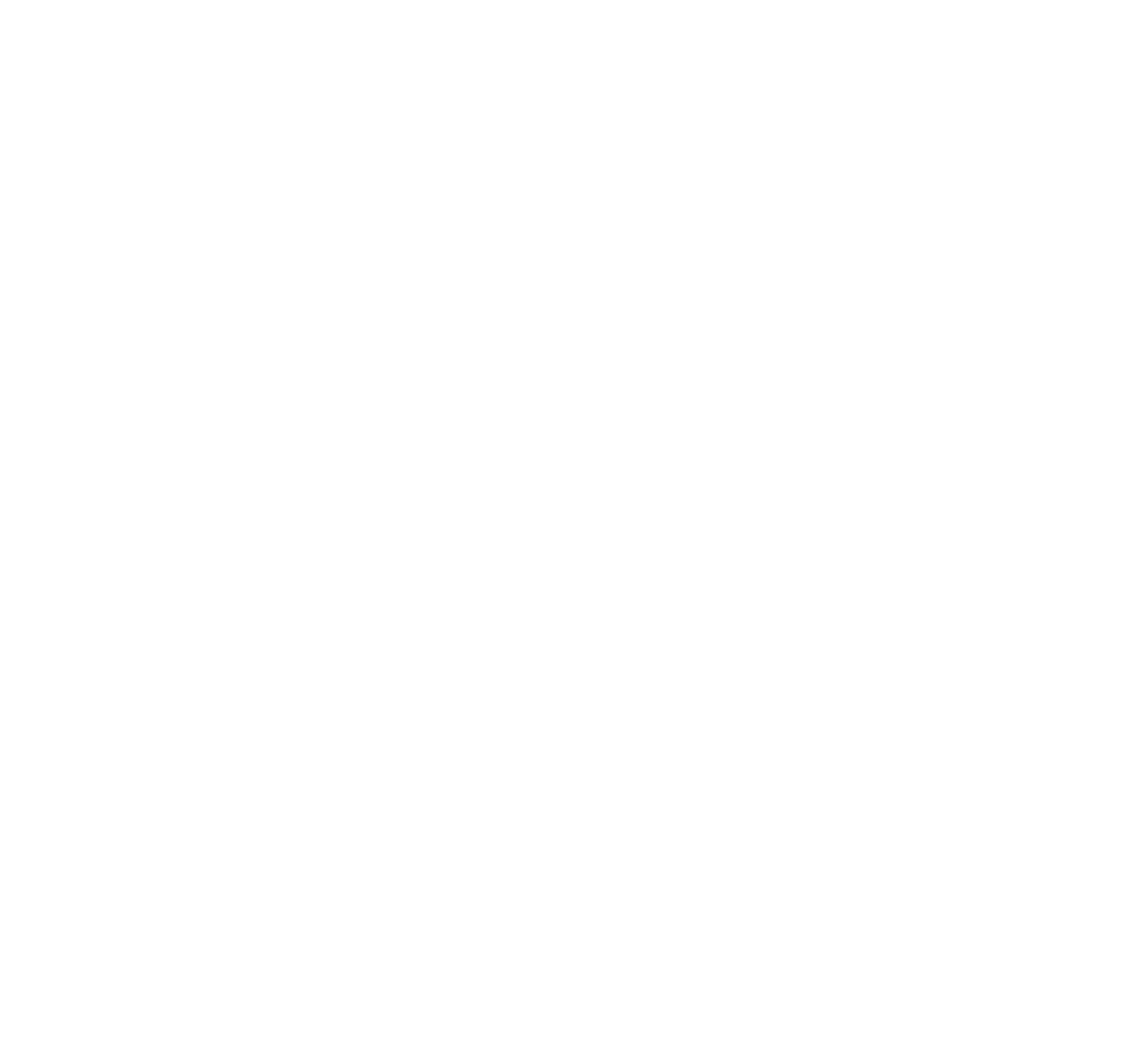 Jordan Logo White